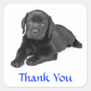 Search for black labrador stickers Retriever