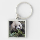 Search for china panda key rings Animal