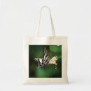 Search for tiny wings Nature