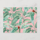 Search for banana postcards Trendy