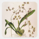 Search for 20th stickers Botanical