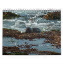 Search for wildlife calendars 2026