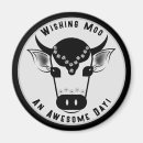 Search for moo magnets Fun