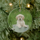 Search for golden retriever christmas tree decorations Pet