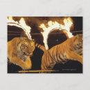 Search for burn postcards Fire