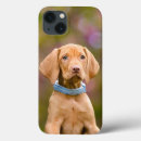 Search for hunting dogs iphone cases Puppy