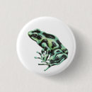 Search for darts badges Amphibian