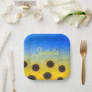 Search for ukrainian plates Kiev