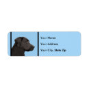 Search for black labrador return address labels Cute