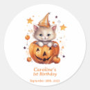 Search for surprised cat stickers Kitty