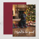 Search for from the dog christmas cards Santa paws