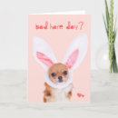 Search for chihuahua easter cards Funny