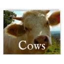 Search for cow calendars Farm