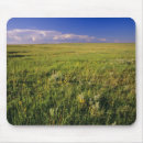 Search for remote mousepads Landscape