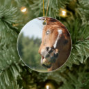 Search for horse head christmas tree decorations Funny