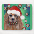 Search for australian terriers electronics Australian silky terrier
