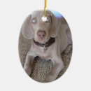 Search for weimaraner christmas tree decorations Canine