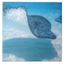 Search for caribbean tiles Underwater