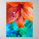 Search for orange orchid posters Blue