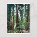 Search for bay area postcards California