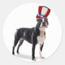 Search for boston terrier dog stickers Animals