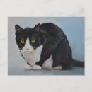 Search for domesticated postcards Pet