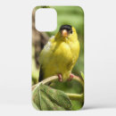 Search for goldfinch iphone cases Wildlife