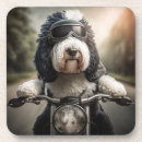 Search for pets barware Cute dog