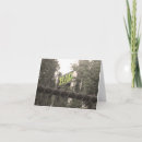 Search for graffito cards Photography