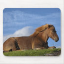 Search for simplicity mousepads Horizontal