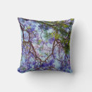 Search for jacaranda Blooming