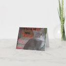Search for cute kitten thinking of you cards Humour