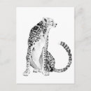 Search for cheetahs postcards Big cat