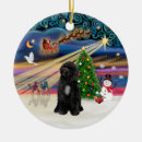 Search for portuguese christmas decor Pets