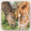 Search for cute babies coasters Horse