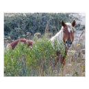 Search for mustang horses posters Outer banks