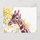 Search for giraffe postcards Trees