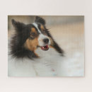 Search for sheltie puzzles Cute