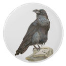 Search for crow knobs and pulls Corvid