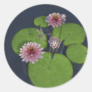 Search for pink lilies stickers Pretty