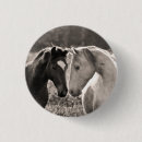 Search for black white horse badges Photography
