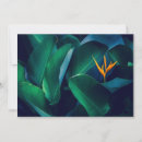 Search for bird paradise flower cards Bouquet