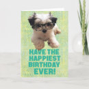 Search for funny teen cards Puppy