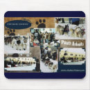 Search for sporting dog electronics Dogs