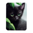 Search for green eyes magnets Kitty