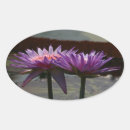 Search for purple lotus flower stickers Waterlily