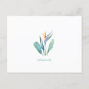 Search for unique floral postcards Retro