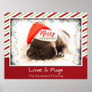 Search for pug posters Merry christmas