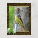 Search for crested postcards Nature