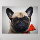 Search for pug picture posters Baby animals